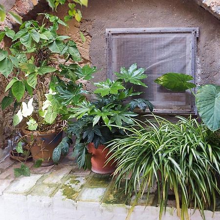 Casa Lujan - Califa Casas Vejer Villa Vejer de la Frontera Dış mekan fotoğraf