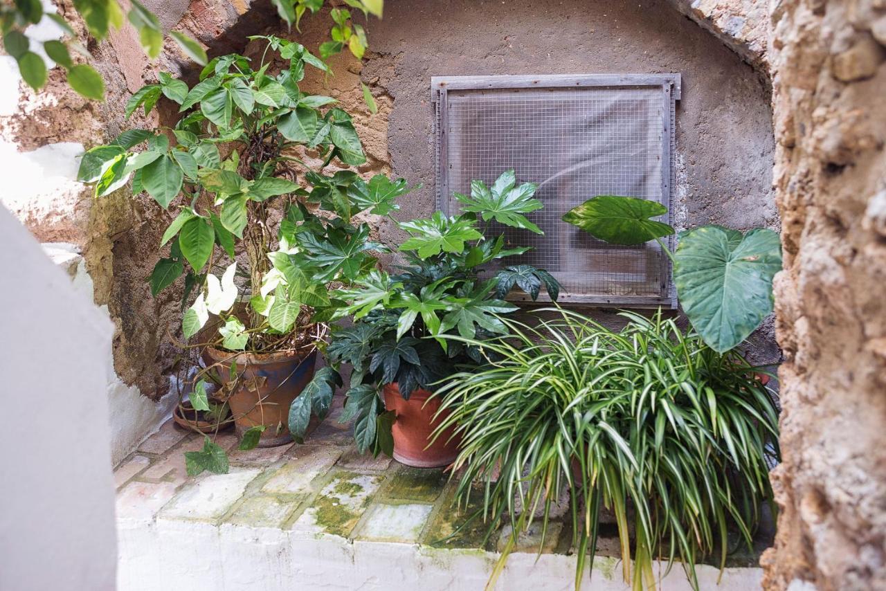 Casa Lujan - Califa Casas Vejer Villa Vejer de la Frontera Dış mekan fotoğraf